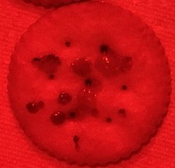 0D05D7F1-E549-4A8F-B39B-7E039637AE56.jpeg