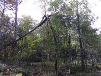 IMG_20181017_145843.jpg