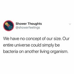 showerfeelings_BryjbJino9O.jpg