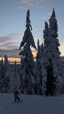 Screenshot_20181224-212106.png