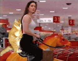 image.gif
