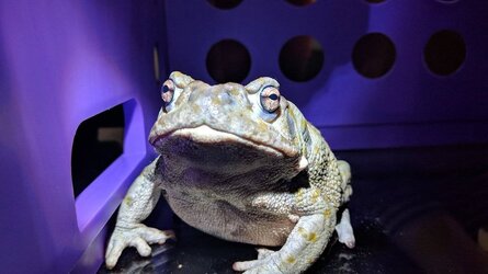 MVIMG_20181013_210403.jpg