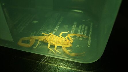 IMG_20180917_201328.jpg