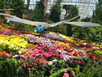 IMG_20130922_124521.jpg