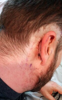 small-ear.jpg