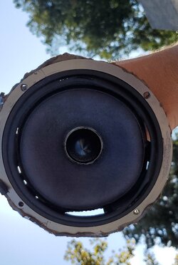 20190924_161802.jpg
