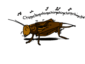 08.19.16-FieldCricket-300x225.png