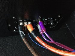 IMG_7709.jpeg