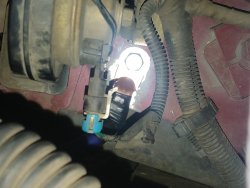 IMG_20200327_204620039.jpg