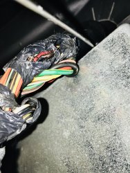 E8029551-17DE-4C05-9DA6-579E0EEFA161.jpeg