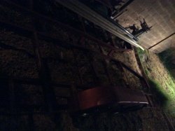 EAB03020-6F1B-4E31-9519-E0AF5B9E2527.jpeg