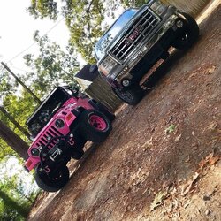 the_pink_wrangler_BowrsPQnDR-.jpg