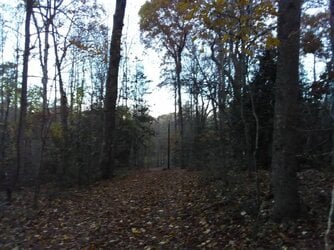 IMG_20181126_173531.jpg