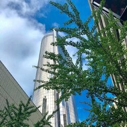 westinpeachtreeplaza_BqqRyz2gzrc.jpg