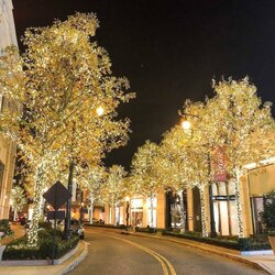 shopbuckheadatl_BqqvyxMFuhx.jpg