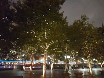 20170110_221101.jpg