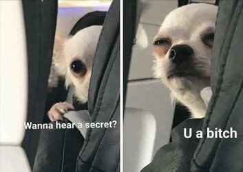l-15008-wanna-hear-a-secret-u-a-*****.jpg