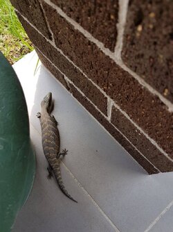 20171029_134301.jpg