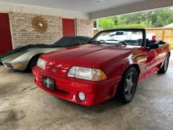 Mustang Now.jpg