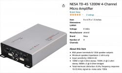 Nesa Amp.jpg