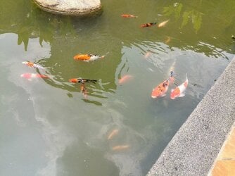 IMG_20130924_143346.jpg