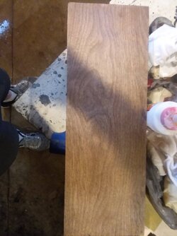20180918_124522.jpg