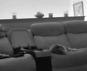 20180920_103346.jpg