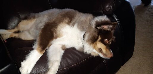 20180807_182316.jpg