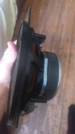 IMAG0344.jpg