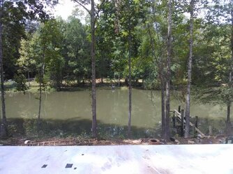 IMG_20180924_134449.jpg