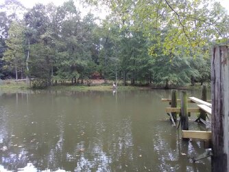 IMG_20180924_135101.jpg