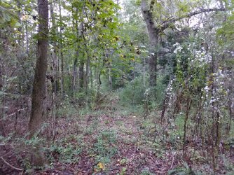 IMG_20180924_141604.jpg