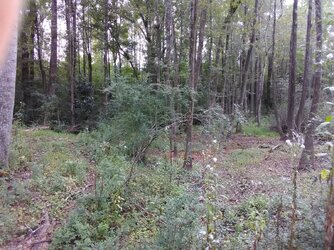 IMG_20180924_141915.jpg