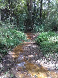IMG_20180924_142145.jpg