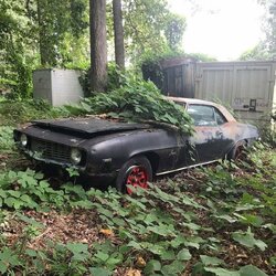 junkyardclassics_BoMzbURlJWS.jpg