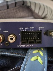 alpine amp.jpg