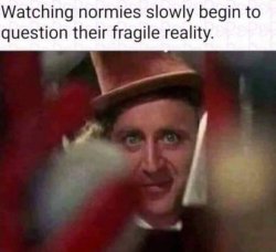 FB_IMG_1669531687695.jpg