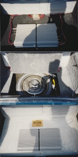 Jazmine.jpg