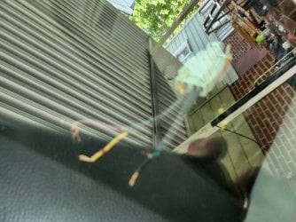 20230703_104220.jpg
