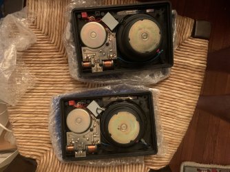 IMG_4538.jpeg