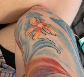 627F027A-2D50-42D3-B203-EE273FFAE35F.jpeg