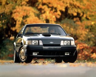 84MustangSVO_HR.jpg