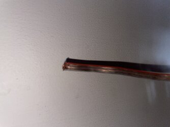 IMG_2376.jpeg