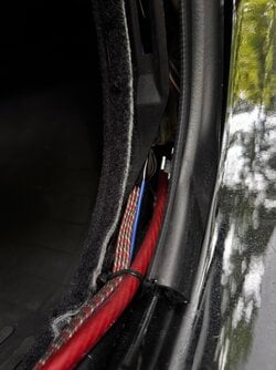 IMG_1965.jpeg