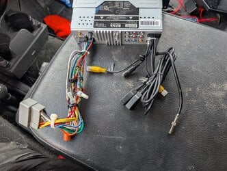 PXL_20250401_211914790.jpg