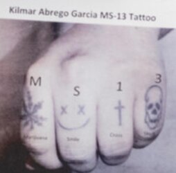 trump-posts-photo-of-abrego-garcias-ms13-tattoos-that-dont-v0-liy2bv84dove1.jpg