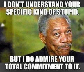 Stupidity.jpg