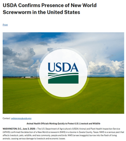 1781103953712.png
