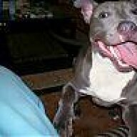 Mzlady