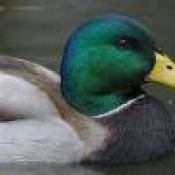 quackhead